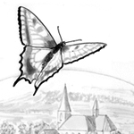 Illustration Kinderlied